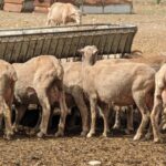 448902546_122117134208332319_6019006626852863241_n