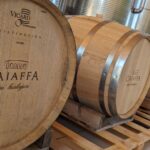 448944549_122117141426332319_5569242971124435973_n