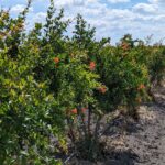 448944881_122117140004332319_8261388227979778385_n