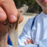 448945694_122117134136332319_3819293876286144235_n