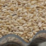 448946116_122117132510332319_4097687893651652311_n