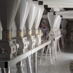 448951871_122117132594332319_4226469537531694808_n