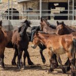 449046270_122117134352332319_9112412771654186560_n