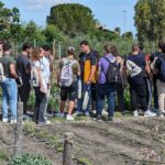 449051370_122117139842332319_893743541940350852_n