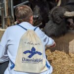 449201198_122117134196332319_3172636026933292750_n