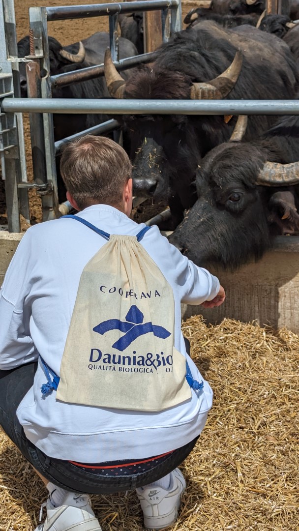 449201198_122117134196332319_3172636026933292750_n