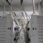 449309052_122117132576332319_6837036393429145999_n