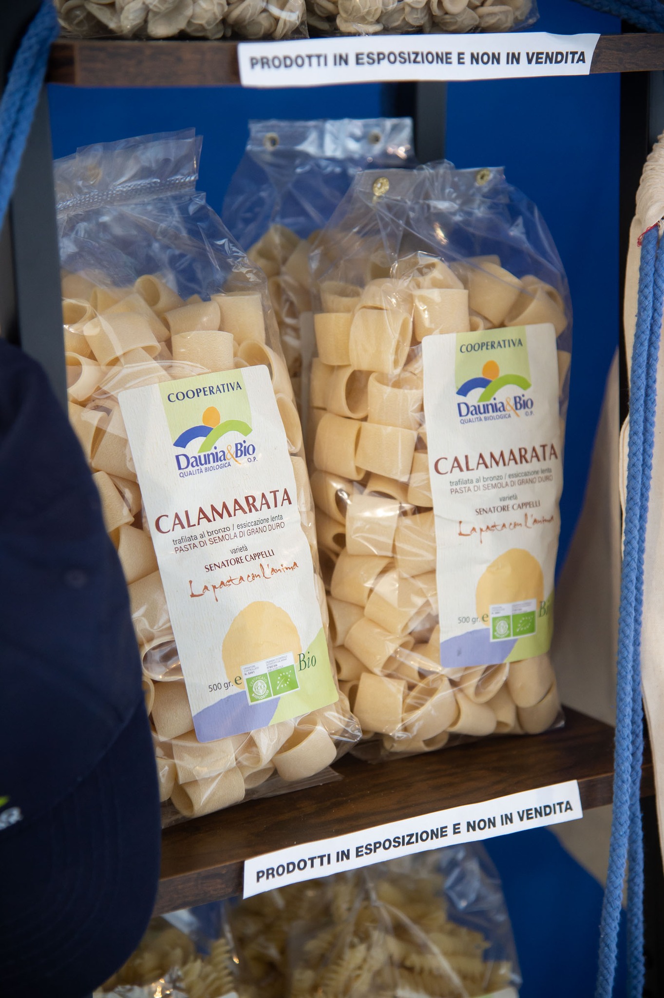 452046450_122102256650418767_3867134551314723180_n