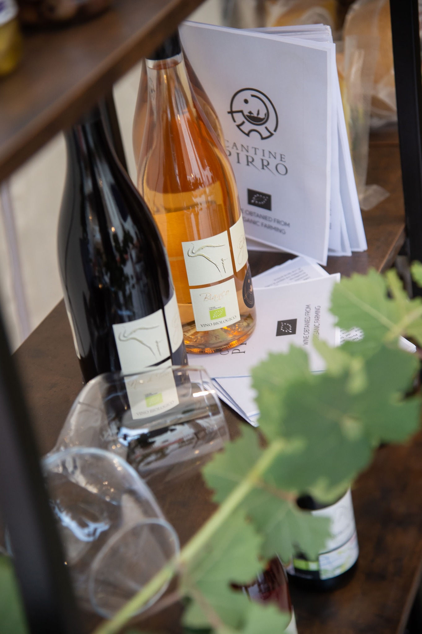 452079301_122102256536418767_7819655639368641369_n