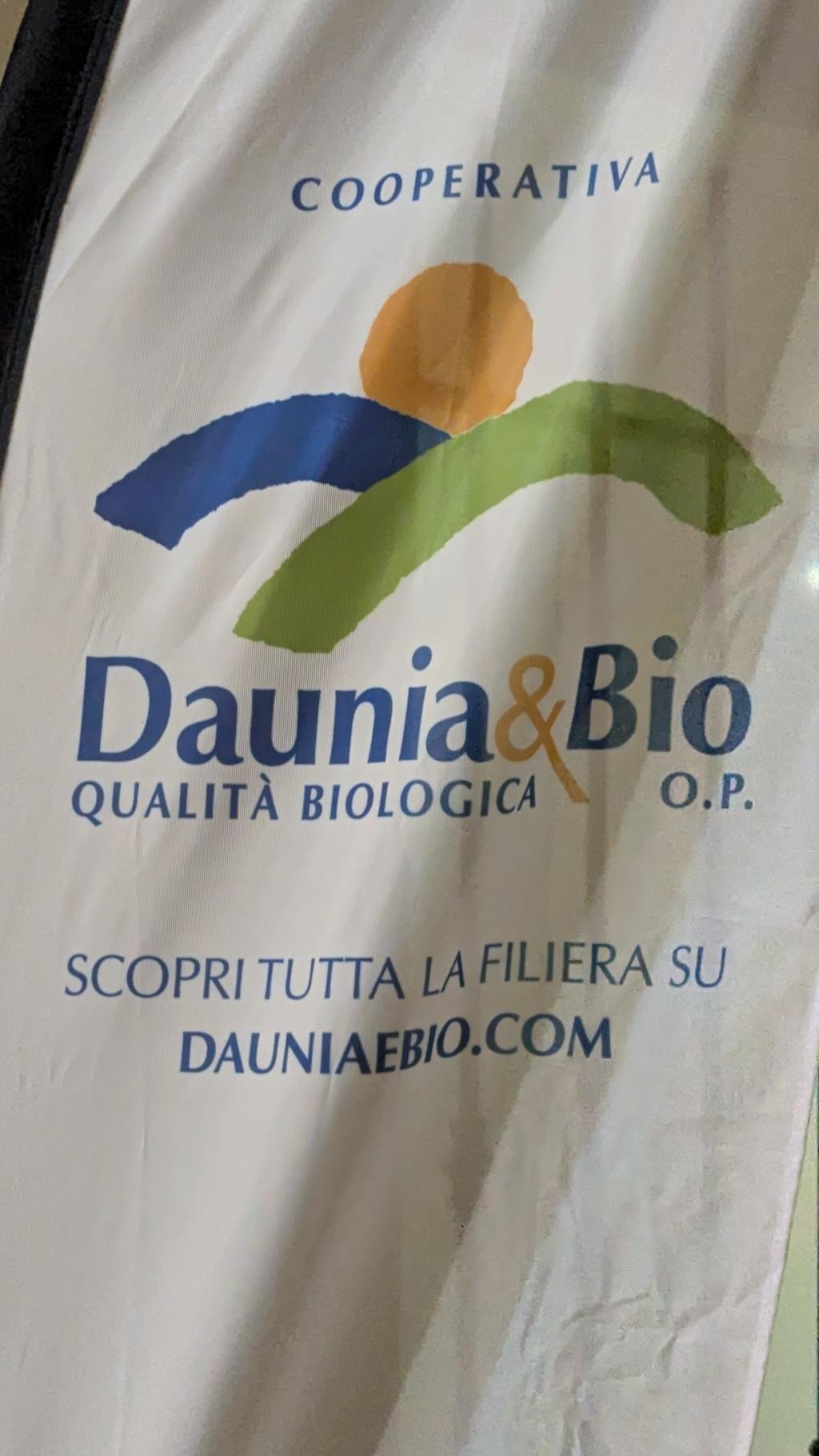 PXL 20241205 171435924